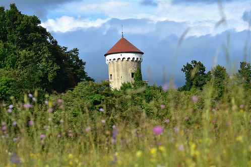 grad Kalc, avtor Marjeta Marinčič